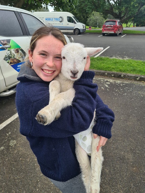 image of girl wtih sheep