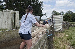 image of cadets in yards