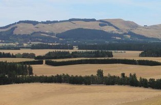 image of dry landscape