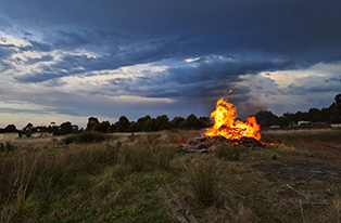 Fire burning in paddock