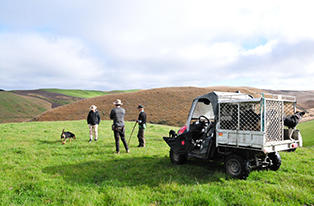 Farmers talking in a paddock