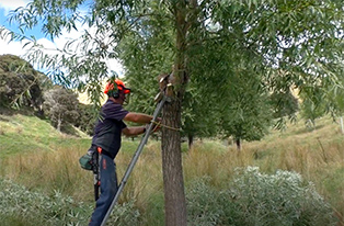 Man working on a ladder