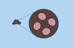 illustration of eggs counts 