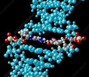 image of DNA helix