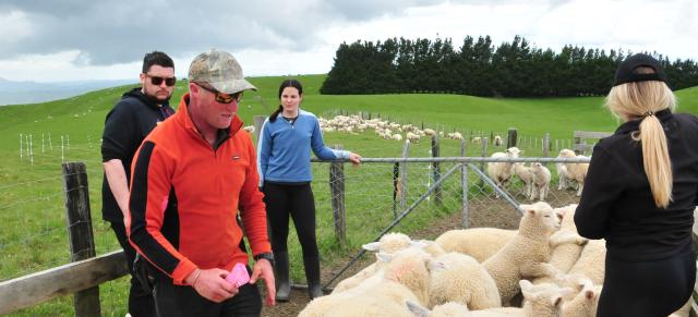 image of staff on farm in the yards