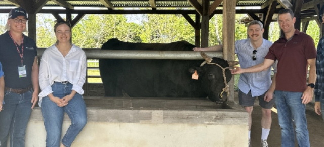 image of Nick Jolly with conference members and cow