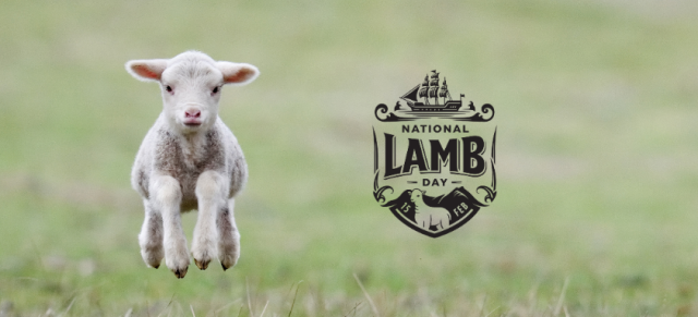 image of baby lamb and lamb day logo