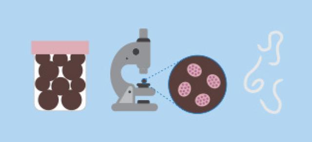 illustrated image representing worm diagnostics