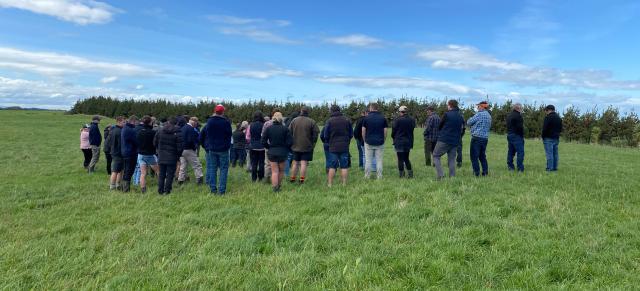 image of Hogget Group action group on farm