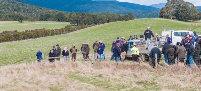 F4P Field Day in St Arnaud