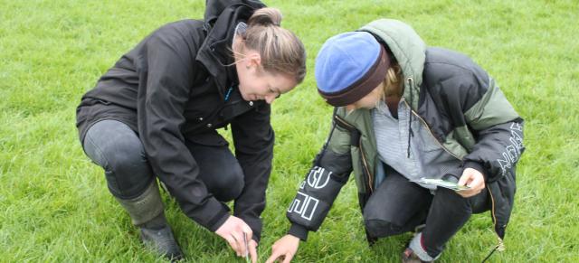 image of two women testing grass