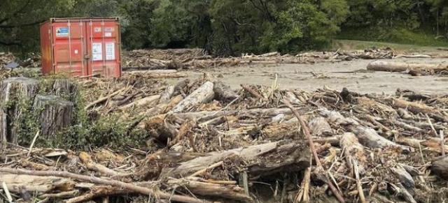 image of forestry debris