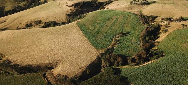 native plantings on farm