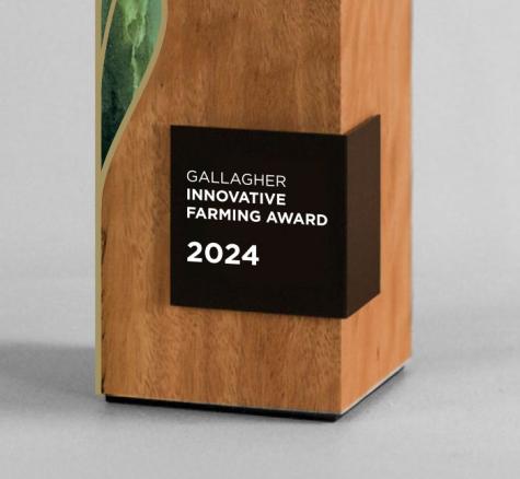 image of gallagher award  trophy 