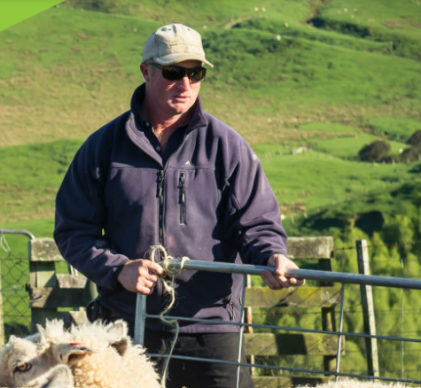 image of farmer opening gate for sheep