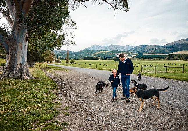 Man and his son walking their dogs.