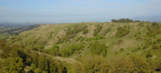 NZ Sheep and Beef farmers