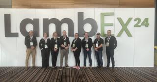 image of LambEx B+LNZ representation