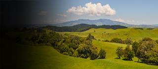 image of New Zealand farm