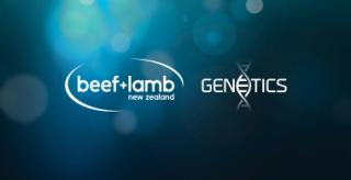 Image of B+LNZ Genetics banner