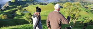 farmers walking with dogs