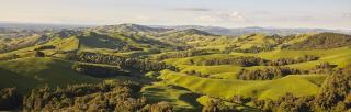 new zealand grasslands and rolling hills - sustainable agriculture 