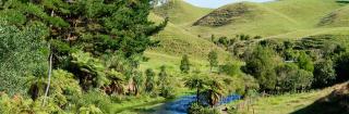 Image of river through Waikato farm.