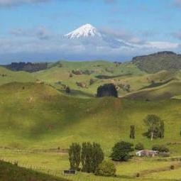 Bringing the best minds to the biggest challenges for sheep, beef and dairy farms