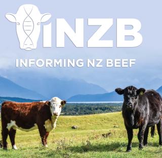 An introduction to the Beef + Lamb New Zealand Informing New Zealand Beef programme: what you need to know