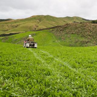 Fertiliser: Getting Bang for your Buck, with Dr Robert McBride and Dr Ants Roberts