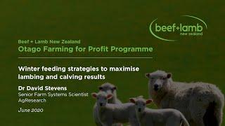 Winter Feeding Strategies to maximise lambing and calving results