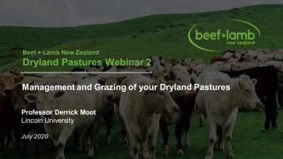 dryland pastures