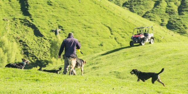 image of man on farm with quad and dogs in distance