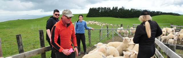 image of staff on farm in the yards