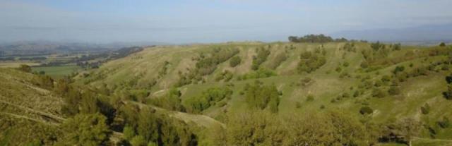 image of trees on farm 