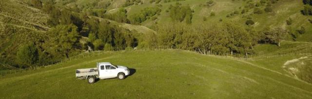 Car driving on field