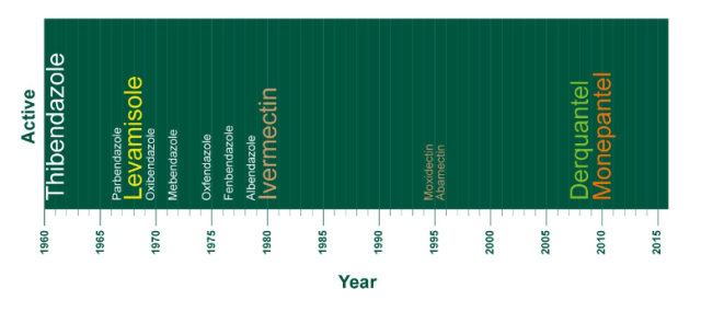 worm timeline