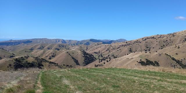 image of tempello hay paddock