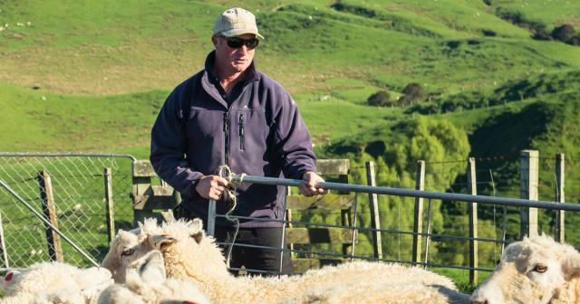 image of farmer opening gates for sheep