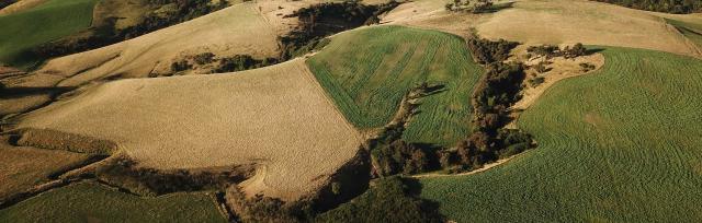 native plantings on farm