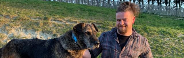 image of retired working dog